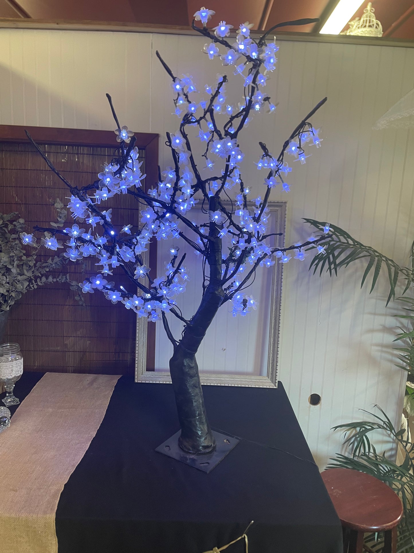 Arbres lumineux